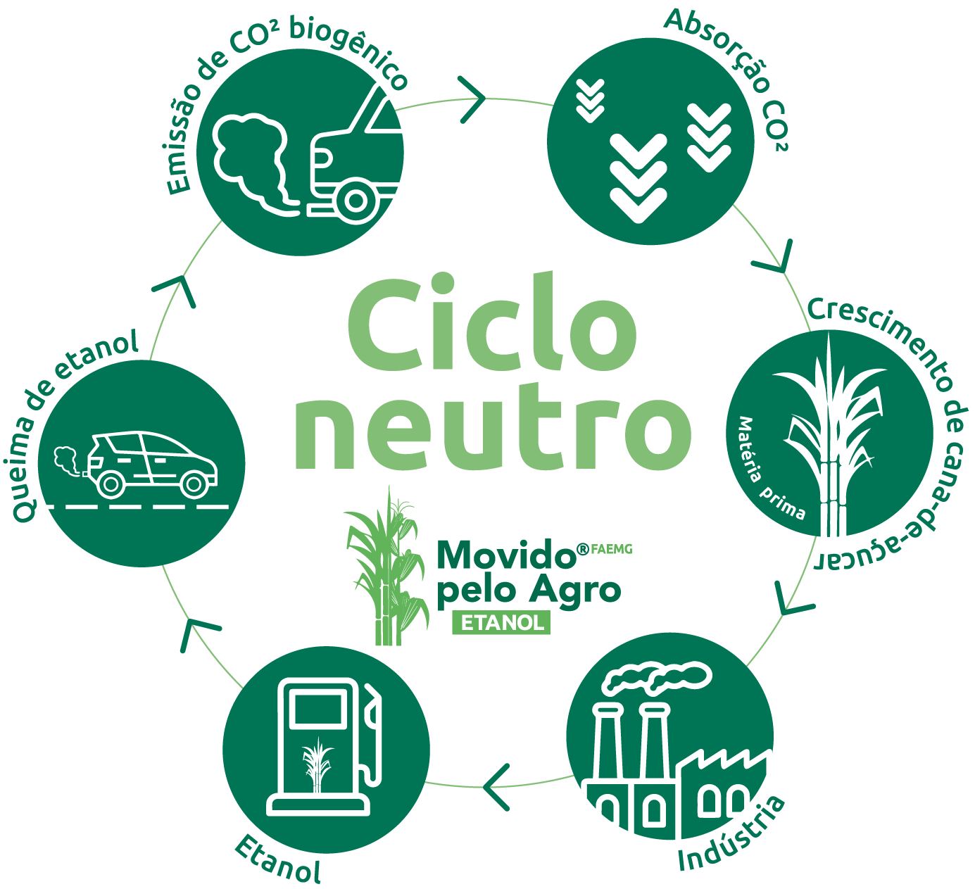 Ciclo do Etanol